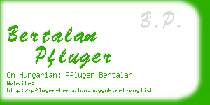 bertalan pfluger business card